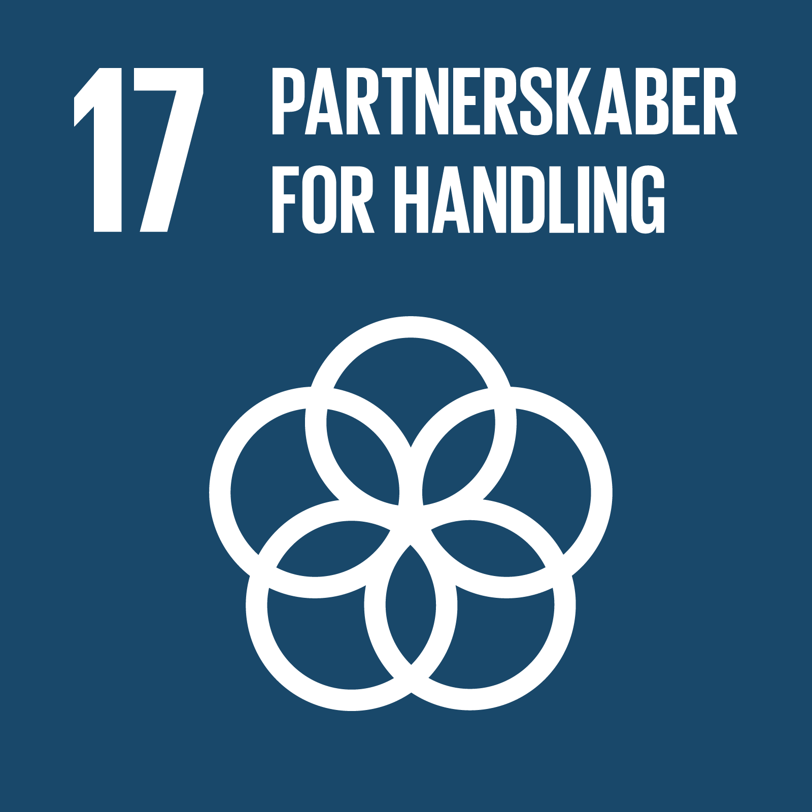 Verdensmål 17: Partnerskaber for handling